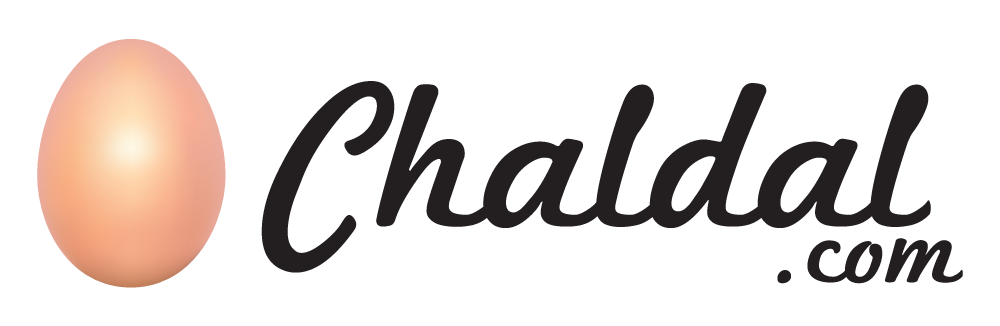 NusratPersonal Portfolio HTML Template